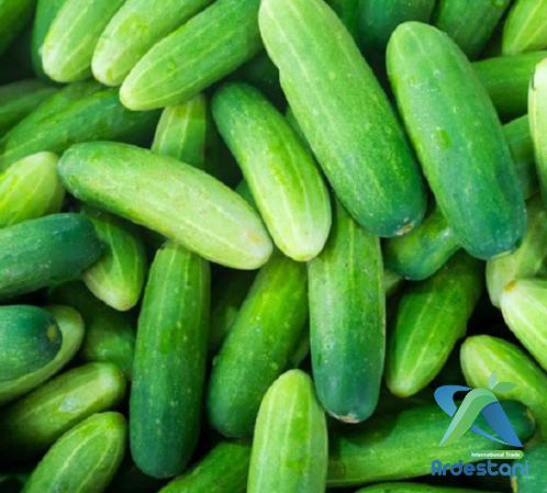 Best Greenhouse Green Cucumber Wholesale