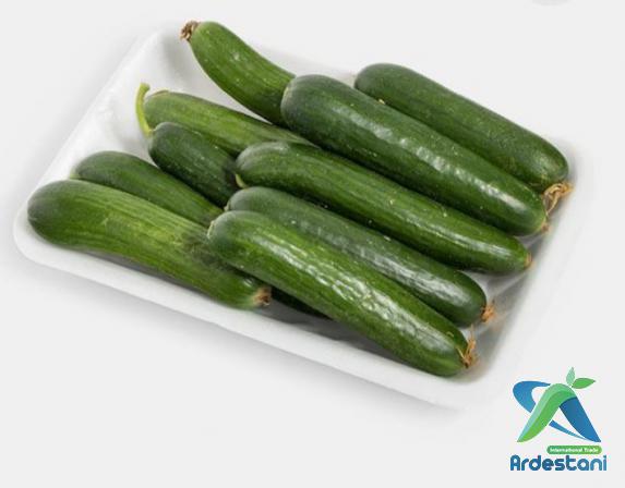 Regular Greenhouse  Green Cucumbers to Buy