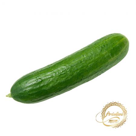 Fascinating Natural Seedless Greenhouse Cucumbers Distributors