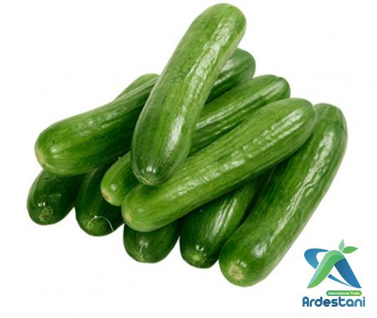 Fresh Regular Greenhouse Green Cucumbers in Markets