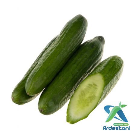 Awesome Mini Greenhouse Cucumbers Price