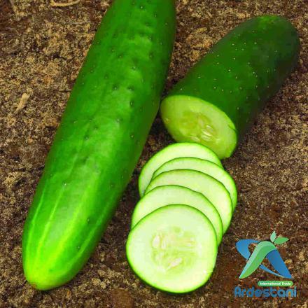 Do Muncher Cucumbers Need a Trellis?