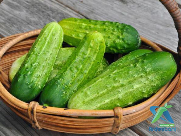 Ways of Recognizing the Best Natural Thin Skinned Greenhouse Cucumber