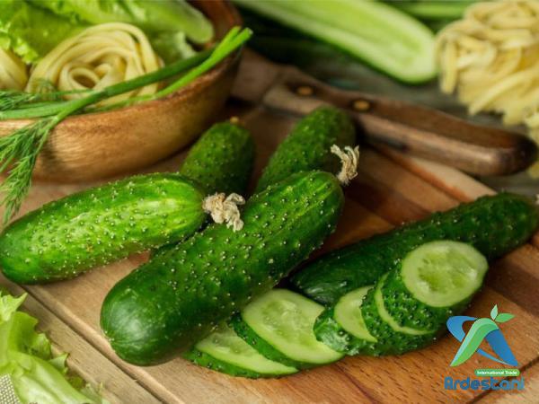 Fresh Organic Seedless Greenhouse Cucumbers to Trade