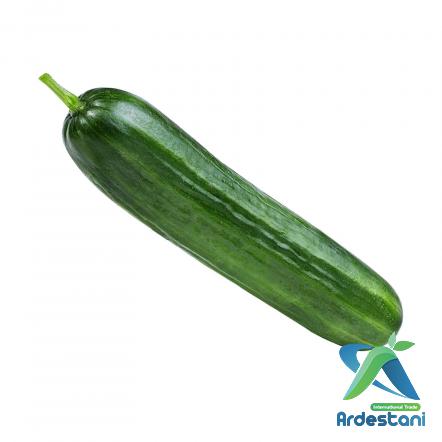 Best Greenhouse Cucumbers Price List