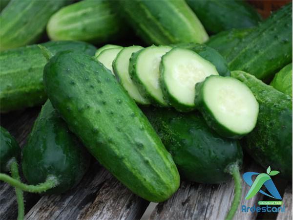 Organic Seedless Greenhouse Cucumbers at the Best Price