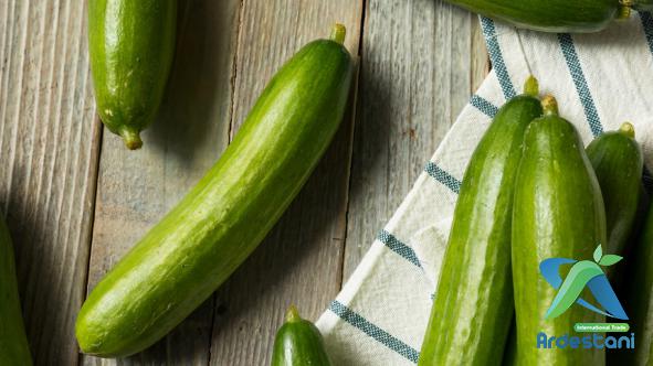 Top Organic Kirby Greenhouse Cucumbers to Supply