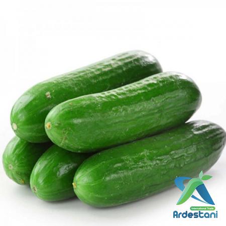 Best Greenhouse Green Cucumber to Sell