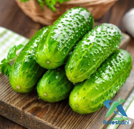 Best Regular Greenhouse Cucumbers Vendors