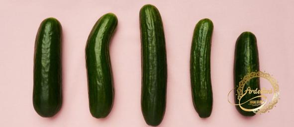 Natural Seedless Greenhouse Cucumbers Best Suppliers