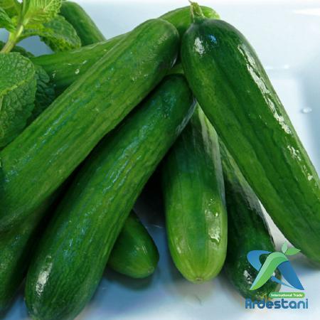 Cucumber Can Help You to Have Healthy Digestive System