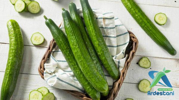 How Big Do Seedless Cucumbers Get?