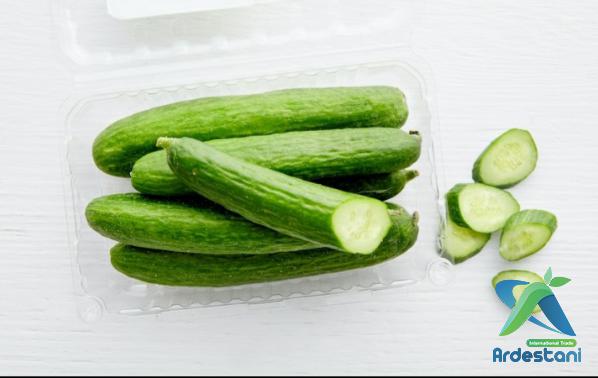 Awesome Organic Thin Skinned Greenhouse Cucumber for Ordering