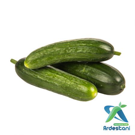 Are Muncher Cucumbers Good for Pickling?