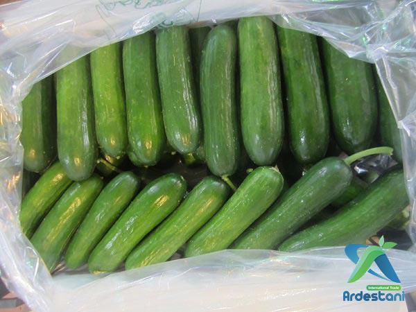 Best  Seedless Greenhouse Cucumbers to Order