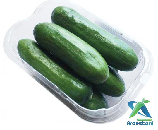 Cucumber Help You to Lose Weight 