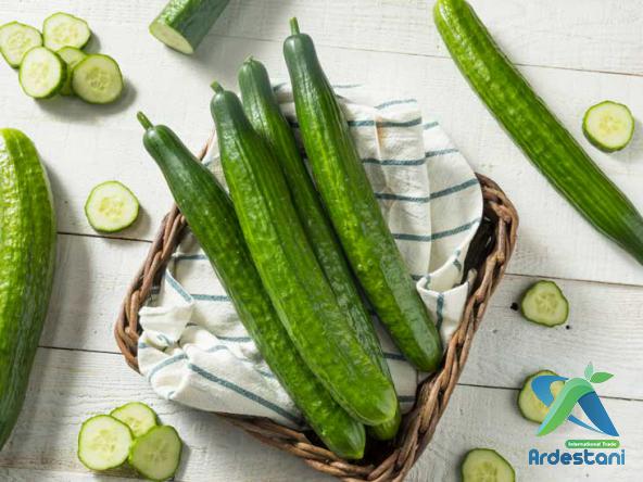  Natural Thin Skinned Greenhouse Cucumber for Exportation