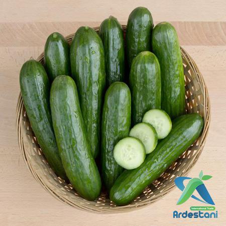 Exceptional Organic Greenhouse Salad Cucumbers Best Producers