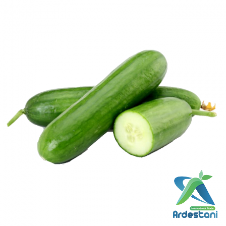 Organic Regular Greenhouse Cucumbers at the Best Price