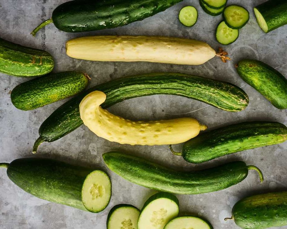 Challenges of cucumber farming